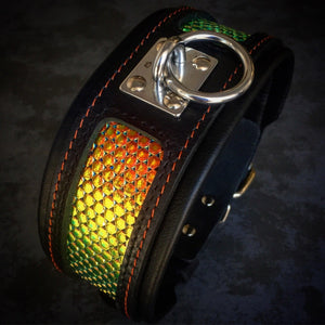 The ''D`Albertis'' collar - ThoseDogParents