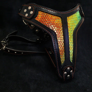 The ''D`Albertis'' harness LIMITED - ThoseDogParents