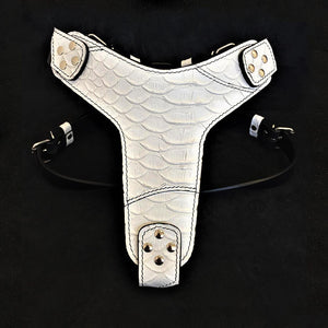 The ''Dragon Scale'' harness - ThoseDogParents