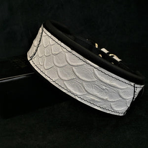 The ''Dragon Scale'' LIMITED collar exclusive design - ThoseDogParents