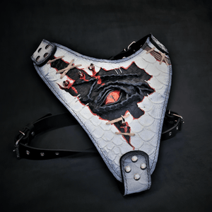 The “Dragon's Eye” Harness LIMITED! - ThoseDogParents