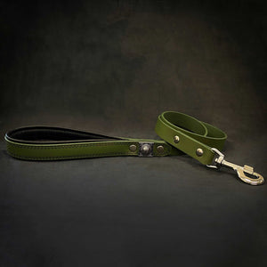 The "Eros" Green Leash 1 inch wide - ThoseDogParents