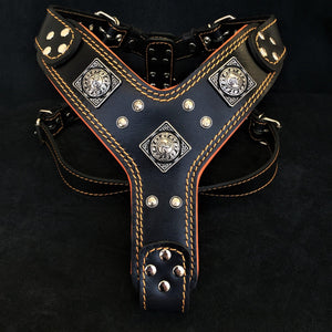 The "Eros" harness Black & Orange - ThoseDogParents