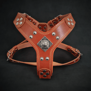 The ''Eros'' harness brown Small to Medium Size - ThoseDogParents