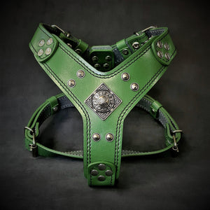 The ''Eros'' harness Green Small to Medium Size - ThoseDogParents