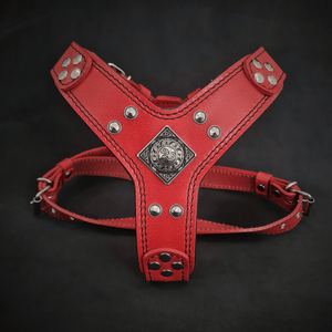 The ''Eros'' harness red Small to Medium Size - ThoseDogParents