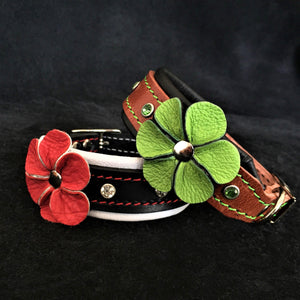The "Flower" handmade puppy collar - ThoseDogParents