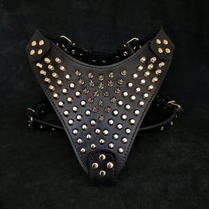The "Gladiator" harness - ThoseDogParents