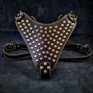 The "Gladiator" harness Gold/Silver - ThoseDogParents