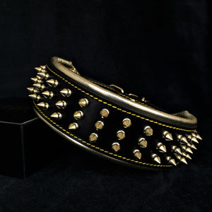 The "Gold Giant" collar - ThoseDogParents