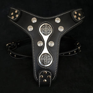 The "Hektor" harness - ThoseDogParents
