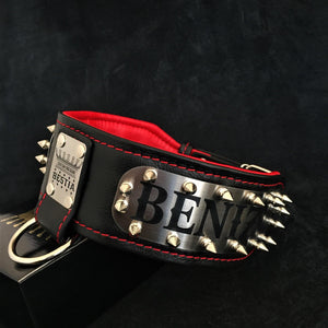 The "Kennel" collar - personalized! - ThoseDogParents