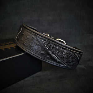 The "Korona" collar BLACK EDITION - ThoseDogParents
