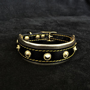 The "Maxi" collar - ThoseDogParents
