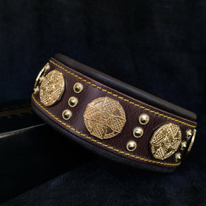The "Maximus" collar 2.5 inch wide brown & gold - ThoseDogParents
