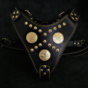 The "Maximus" harness black & gold - ThoseDogParents