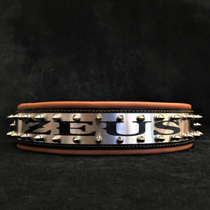 The "Metal" collar - personalized! - ThoseDogParents