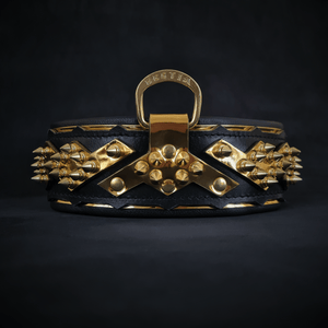 The ''Midas'' Collar Gold - ThoseDogParents