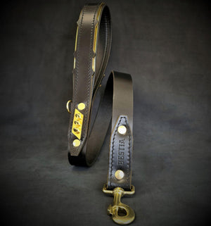 The ''Midas'' leash - ThoseDogParents