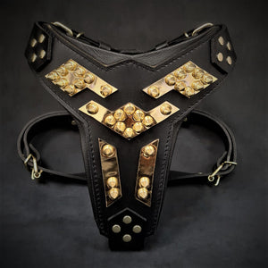 The ''Midas'' leather dog harness gold - ThoseDogParents