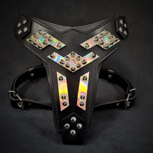 The ''Midas'' leather dog harness silver - ThoseDogParents