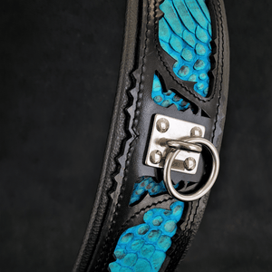 The ''Morelia Python'' collar - ThoseDogParents