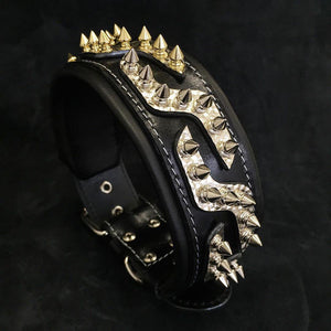 The ''Platinum'' collar - ThoseDogParents