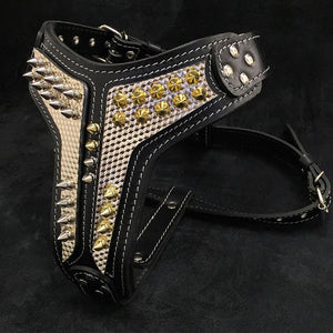 The ''Platinum'' harness - ThoseDogParents
