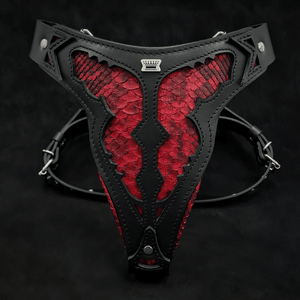 The ''Red Dragon'' harness - ThoseDogParents