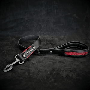 The ''Red Dragon'' leash - ThoseDogParents