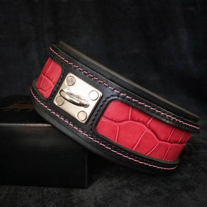 The "Reptile" collar - ThoseDogParents