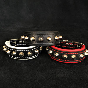 The "Rock" collar - ThoseDogParents