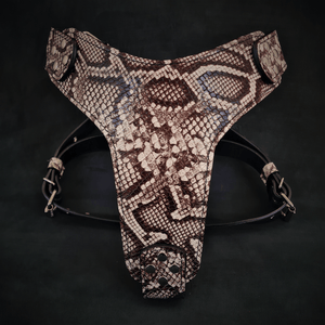 The ''Rock Python'' harness - ThoseDogParents