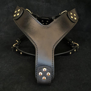 The ''Style'' harness Black - ThoseDogParents