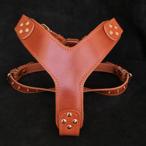 The ''Style'' harness Brown - ThoseDogParents