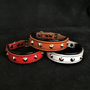 The "Superstar" puppy dog collar - ThoseDogParents