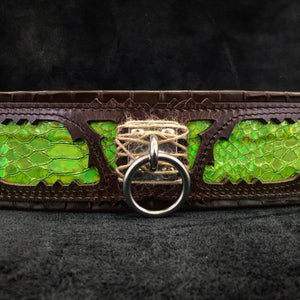 The ''Venom'' collar - ThoseDogParents
