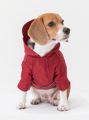 Tribeca adjustable velcro raincoat - Burgundy - ThoseDogParents