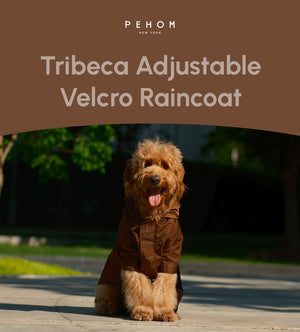 Tribeca adjustable velcro raincoat - Choco - ThoseDogParents