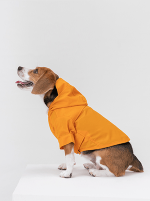 Tribeca adjustable velcro raincoat - Egg Yolk - ThoseDogParents
