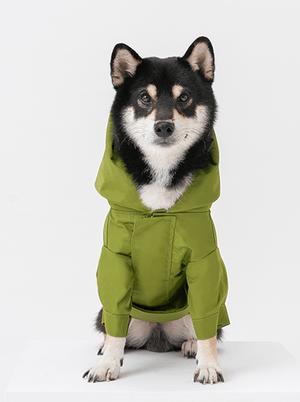 Tribeca adjustable velcro raincoat - Olive - ThoseDogParents