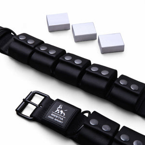 Weighted dog training collar. Large breeds. 5 lbs total. removable weights - ThoseDogParents